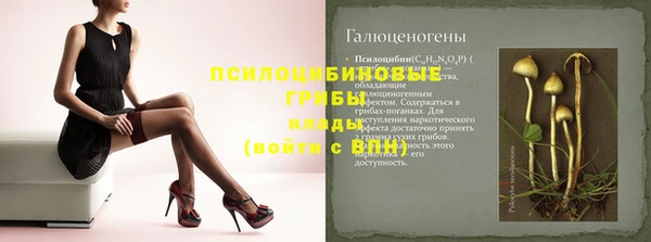 бутират Алексин