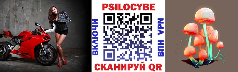 Псилоцибиновые грибы Magic Shrooms  Купить где  Красноармейск 